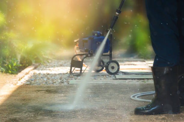 Best Roof Washing  in Carnesville, GA